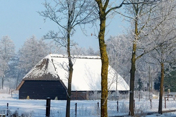 Landelijke schaapskooi uit Opeinde  