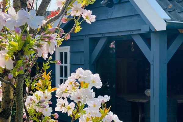 kapschuur hoekmodel landelijke in kleur 